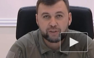 Пушилин назвал хорошей явку в первый день голосования на референдуме в ДНР