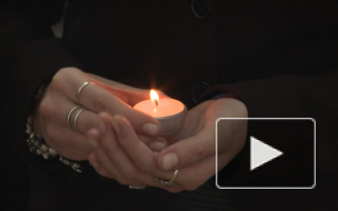 В петербургской школе появились 334 бумажных голубя в память о трагедии в Беслане