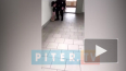 Видео: в Петербурге охранник института ударил об пол бер...