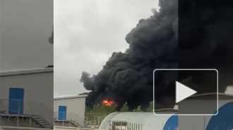 Видео: пожар охватил лакокрасочный завод в Металлострое