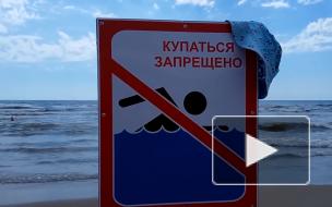 Под Анапой унесло в Черное море двух человек на надувном матрасе