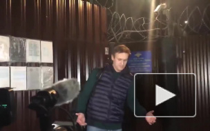 Видео: Алексея Навального выпустили после 20 суток ареста