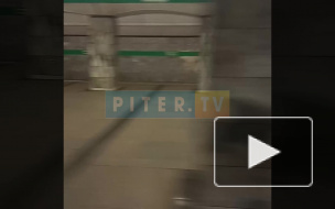 Видео: На "Приморской" нашли бесхозный предмет 