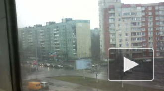 ДТП Светлановский Веденеева