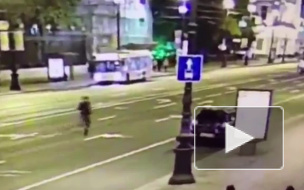 Грабитель вырвал сумочку у женщина на Невском, но не смог убежать от очиведцев