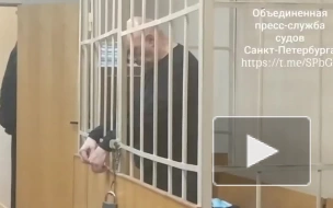 В Петербурге арестовали бизнесмена Александра Ебралидзе по делу о пропаже 3 млрд рублей