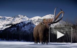 Стало известно, какая температура на Земле была во время ледникового периода 