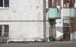 Видео: ленивый, но хитроумный хозяин порыбачил на кота