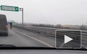 На КАД в районе Мурино заметили человека на моноколесе