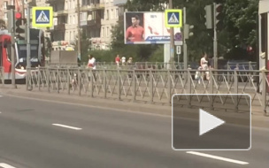 На пересечении проспекта Просвещения и улицы Руставели остановились трамваи 