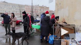 В Коломне массово избавились от пластика ради саженцев 