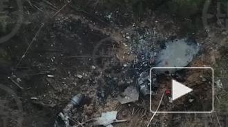 В сети появилось видео с места крушения Су-30 в Тверской области 