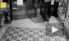 Видео из Китая: дикий 143-киллограмовый кабан ворвался в караоке и распугал посетителей 