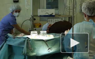 Новости часа: 25 июня, 17.00 — происшествия 