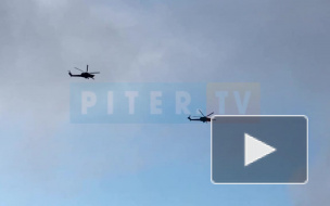 В небе над Девяткино петербуржцы заметили ударные вертолеты КА-52 "Аллигатор"