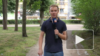 Видео: жители Выборга высказывают свое мнение про лося Лосилия, который может стать символом Ленобласти