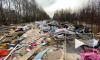 Жители Невского района жалуются на огромную свалку с химическими отходами