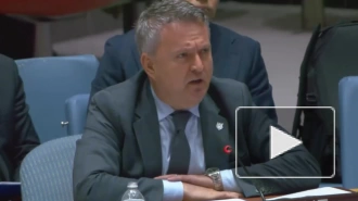 Постпред Украины при ООН на заседании Совбеза попросил передать Киеву больше оружия
