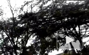 Новости часа: 30 марта, 13.00 — курсы валют, происшествия Новости часа: 30 марта, 13.00 — курсы валют, происшествия