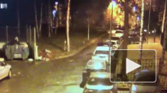 Жительница Фрунзенского района подозревается в организации поджога "Шкоды" на улице Верности