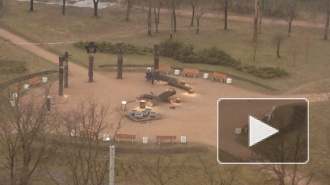 В парке Сосновка вандалы спилили корейских идолов Чансын
