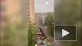 Собянин: один человек погиб из-за урагана в Москве