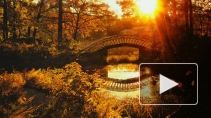 В Петербурге подвели итоги конкурса "Фотоаппарат за закат"