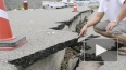 В Японии у Фукусимы произошло новое землетрясение