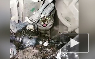 В ростовском автосервисе рабочие нашли карбюратор-мурбюратор