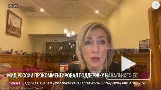 Захарова рассказала об ответах Германии на запросы по анализам Навального
