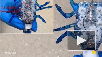 Батареи для роботов станут похожи на жировые запасы человека