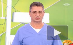 Мясников назвал семь продуктов, позволяющих прожить до 100 лет