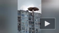 Художник "вырастил" огромный гриб на петербургской ...