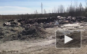 Экоактивисты нашли крупную незаконную свалку у проспекта Народного Ополчения