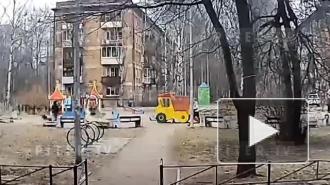 Стала известна причина, по которой женщина вырвала волосы подростку на площадке на Гражданском проспекте