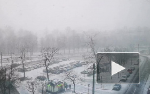 Первый день зимы порадовал петербуржцев снегопадом