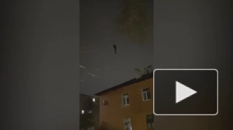 В Орске пьяный мужчина гулял по электропроводам между домами