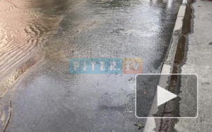 В Выборгском районе продолжаются потопы: на проспекте Северный 8 прорвало трубу 