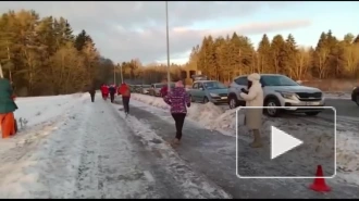 Предновогодний забег сказочных персонажей прошёл в Гатчине