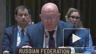 Небензя указал на ложь стран Запада в СБ ООН на фоне прошедшего визита Блинкена на Украину