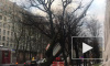 Ветер повалил строительные леса на Красного курсанта: видео
