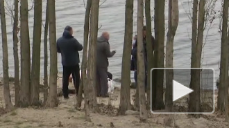 Украина ввела режим ЧС из-за коронавируса