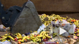 Подсчитана стоимость выброшенной в России еды