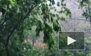 Синоптики предупредили о «тропическом» ливне в пятницу в Москве‍