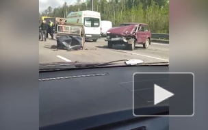 В массовом ДТП на КАД пострадали два человека