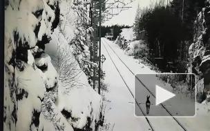 По железной дороге Северного поселка прогуливалась косуля