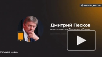 Песков: Путин и Фицо обсудили двусторонние отношения и вопросы энергетики