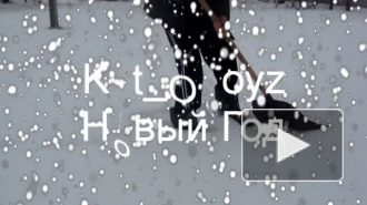 Kot_Oboyz