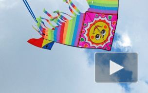 Над Петербургом взмыли в воздух сотни воздушных змеев