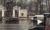 Петербуржцы сняли на видео аномальный снегопад